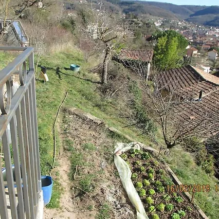 Maison De Vigne Renovee *