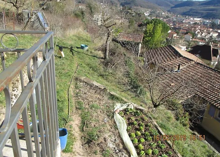 Maison De Vigne Renovee *